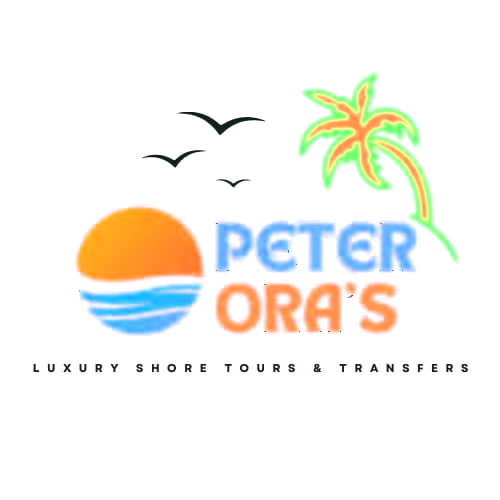 Peter Ora's business logo